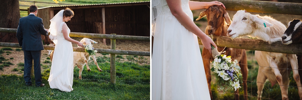 fun farm wedding