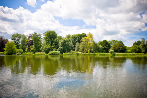 Sherborne Castle Lake