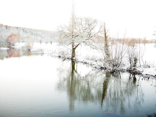 The River Stour in the snow