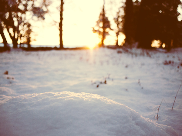 Snow, Bryanston Woods Blandford