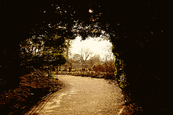 Kingston Lacy, Wimborne