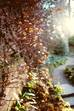 National Trust Gardens