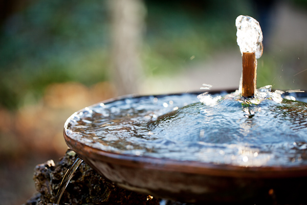 Water Fountain